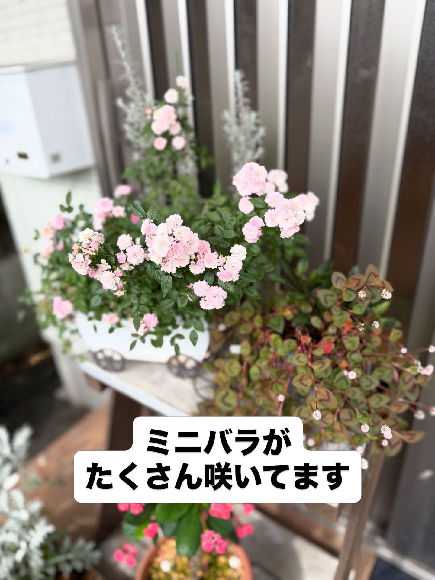 E9E445DC-E1C5-45C2-A5F6-A44470C6F1CE