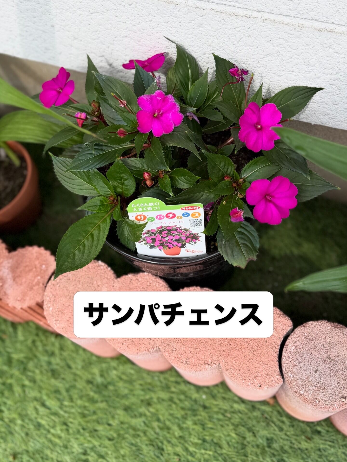 9BBF625E-9BC4-4A75-A9AF-FDD8010AA06F