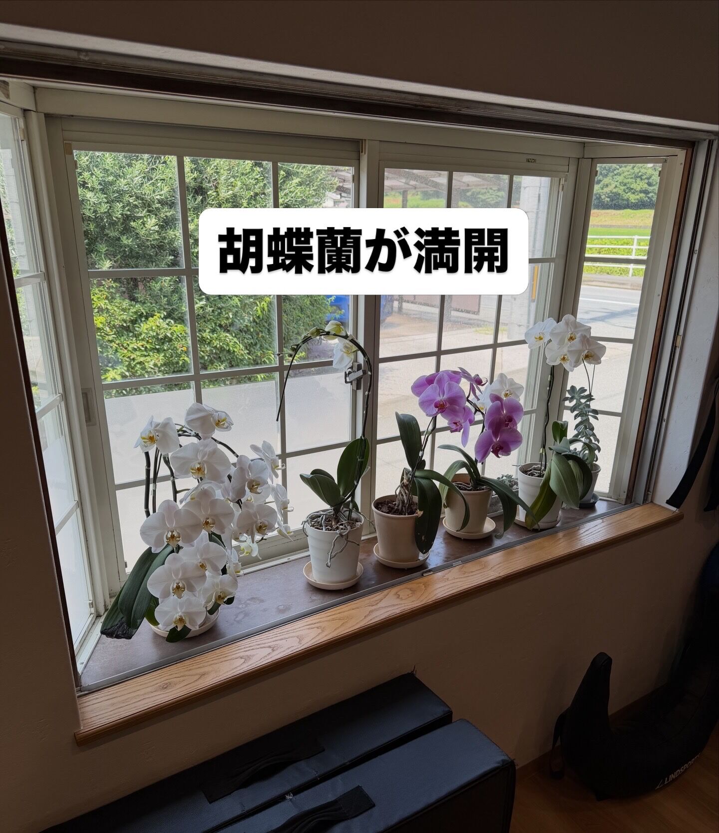 D7E80898-3700-41ED-8C8C-66C94315E066