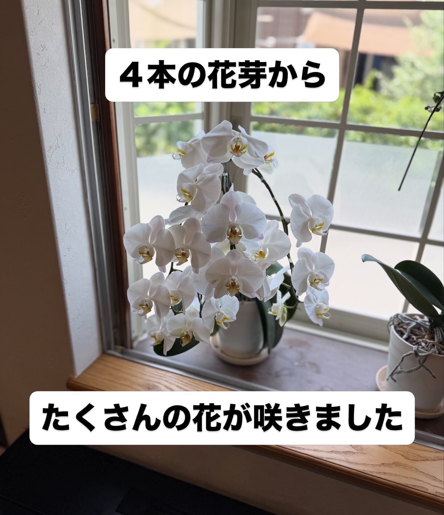 15E1FB10-7029-401D-B003-C629CB762D19